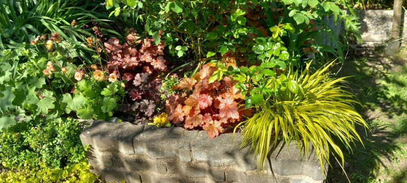  - 2025 - 01 - Primavara