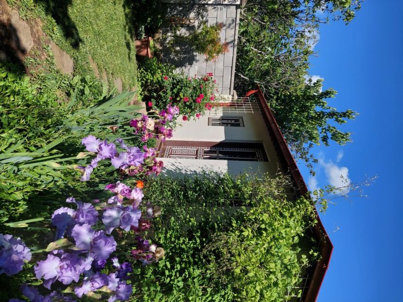  - 2025 mai continuare