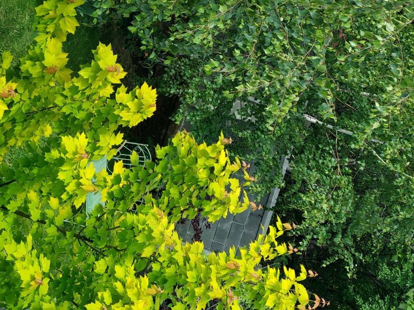  - 2025 mai continuare