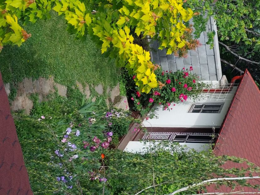  - 2025 mai continuare