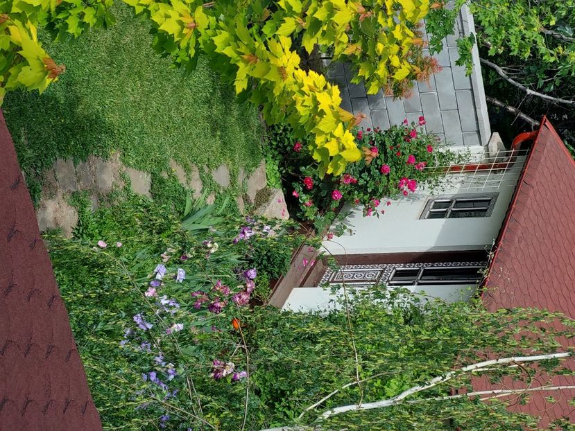  - 2025 mai continuare