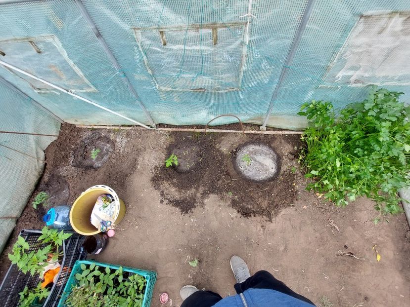  - 2025 gradina de legume