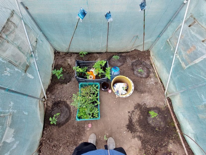  - 2025 gradina de legume