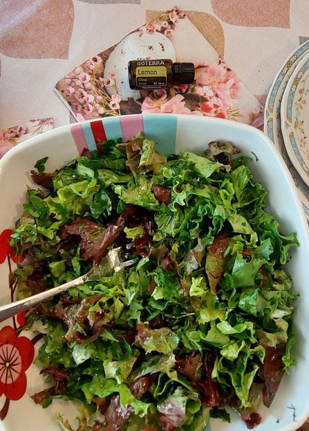  - 2025 gradina de legume