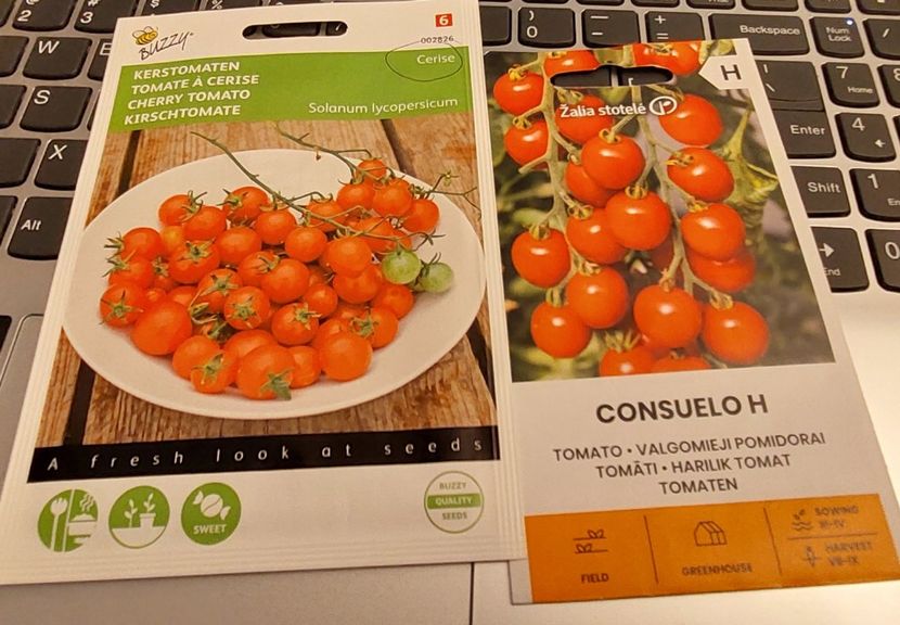  - 2025 gradina de legume