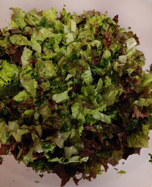  - 2025 gradina de legume