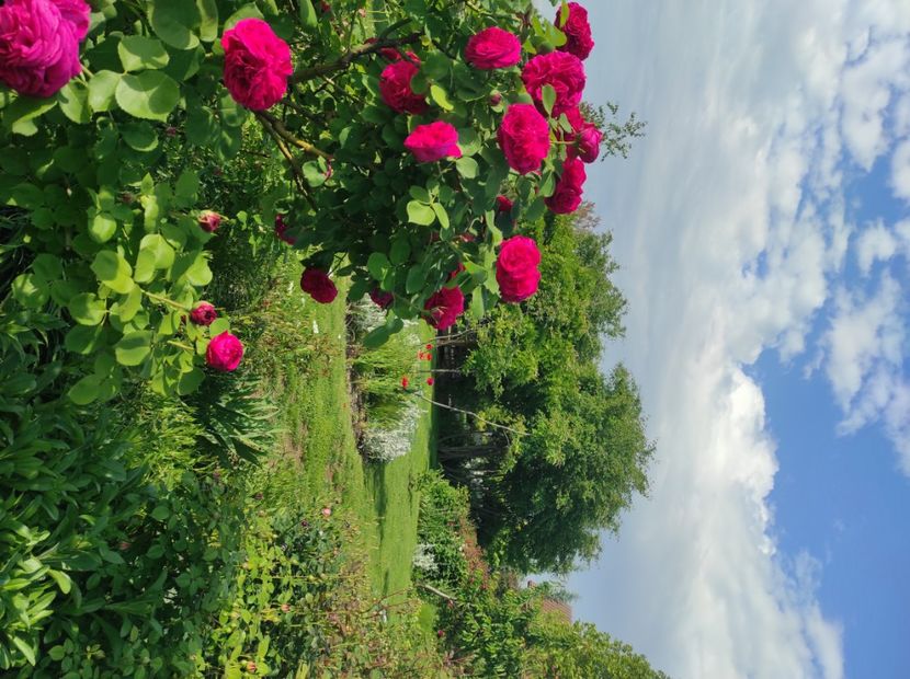  - Souvenir de MMe Corval