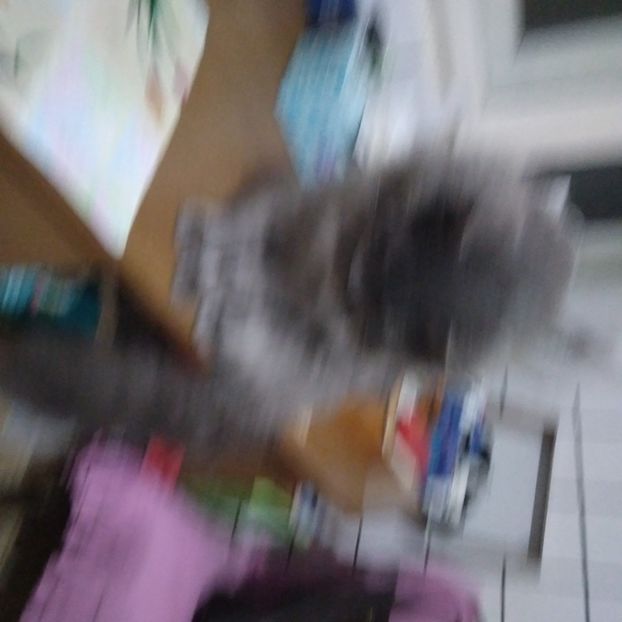 .trashed-1738257949-20241230_183835 - 23 mai 2025