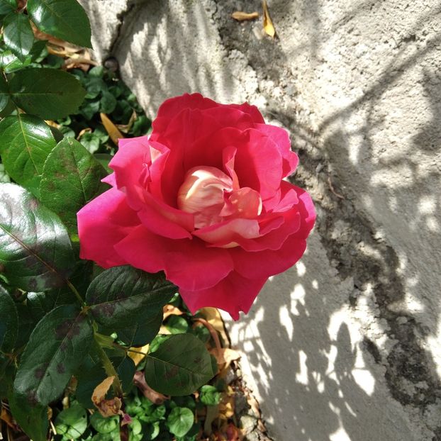  - 23 mai 2025