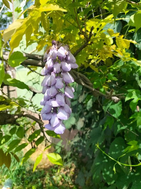 IMG20250524105917 - Mai 2025 ll