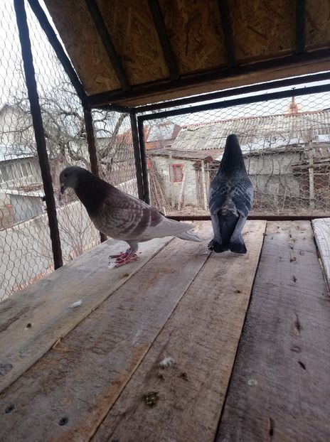 bcd323eb24ad080b299b3899abebaefa - Poze vechi