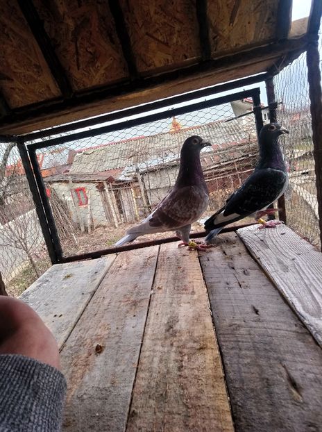 40ba5b24a03b36c891c1557c521c9c7e - Poze vechi