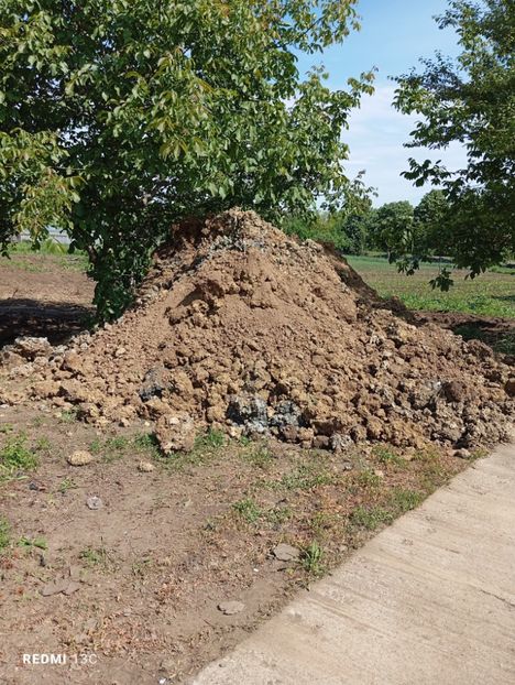  - Index gradina 2023