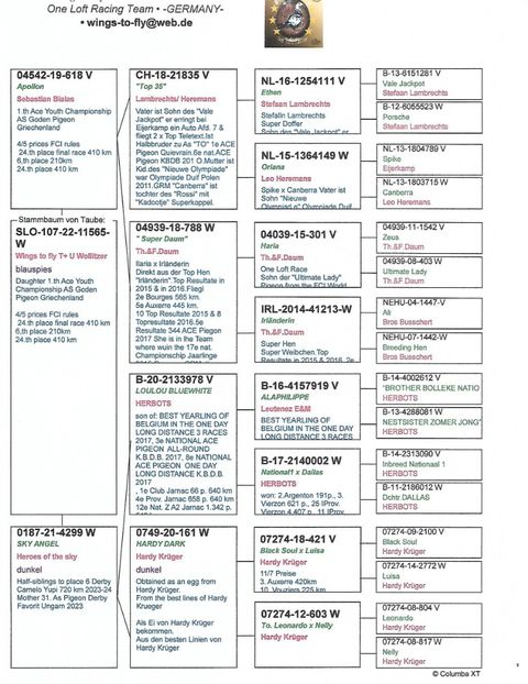 imagine-1737979578-494327 (1) - Femele