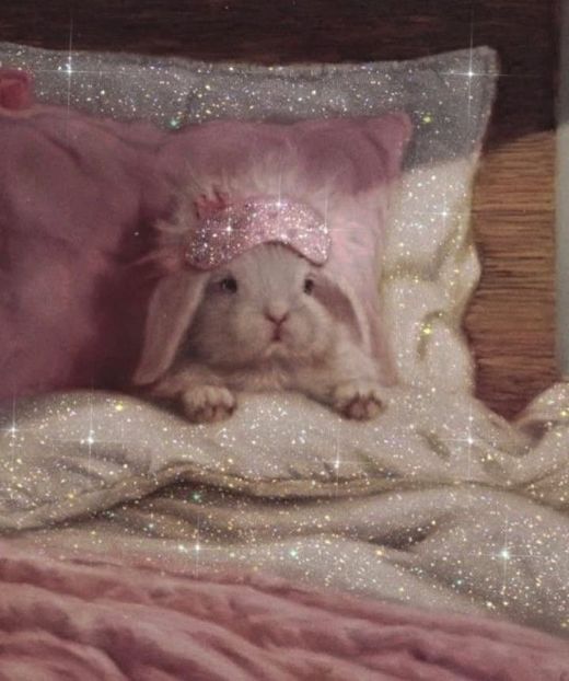  - i couldn t help but wonder - who s gonna win this round