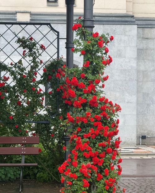 Doamne ce frumusețe!!! - Bună ce mai faceți?