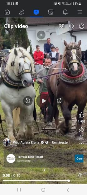 Screenshot_20250527_183338_Facebook - Calul Falko
