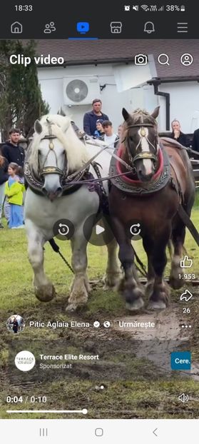 Screenshot_20250527_183330_Facebook - Calul Falko