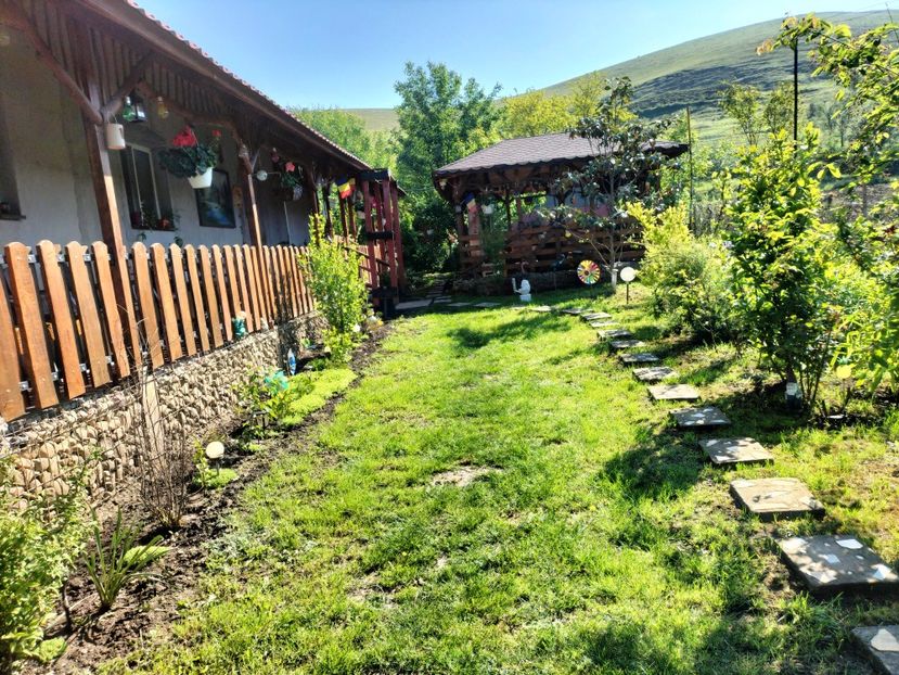 IMG20250521095052 - primavara 2025 la tara