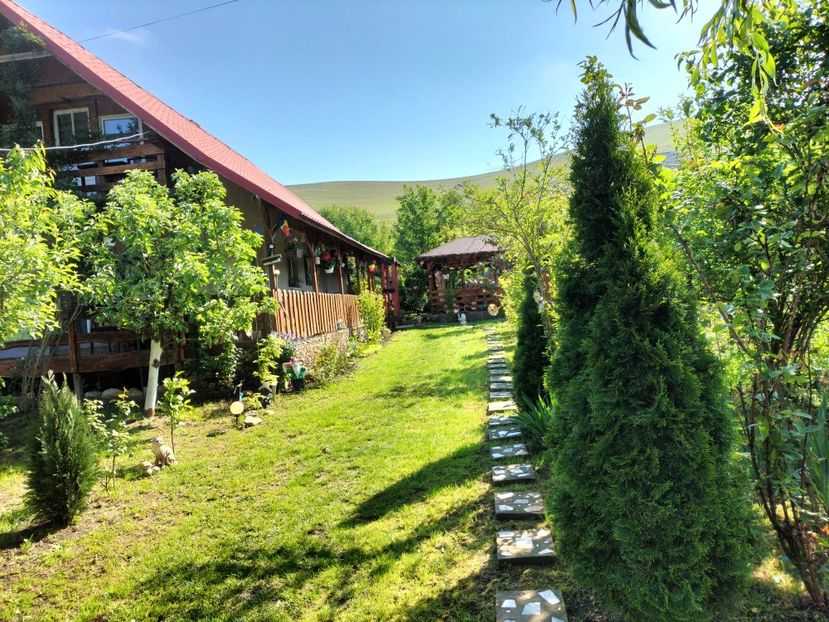 IMG20250521095002 - primavara 2025 la tara