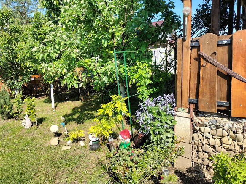 IMG20250521094733 - primavara 2025 la tara