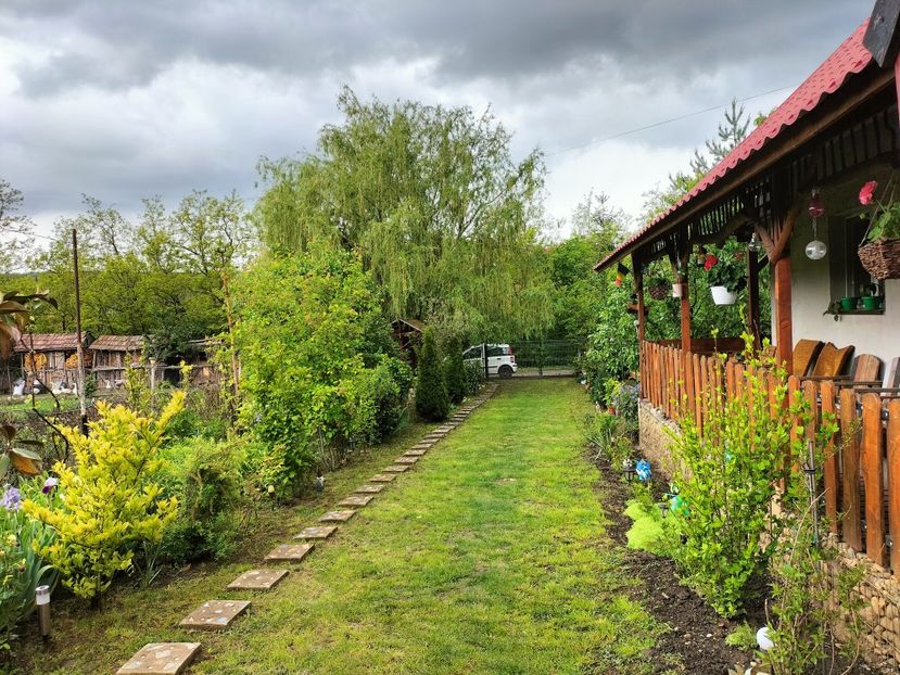 IMG20250517142826 - primavara 2025 la tara