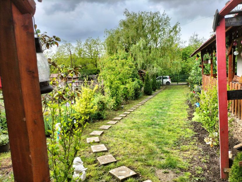 IMG20250517142819 - primavara 2025 la tara