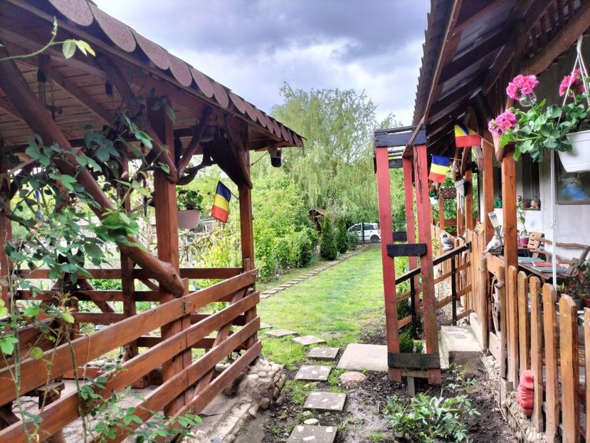 IMG20250517142807 - primavara 2025 la tara