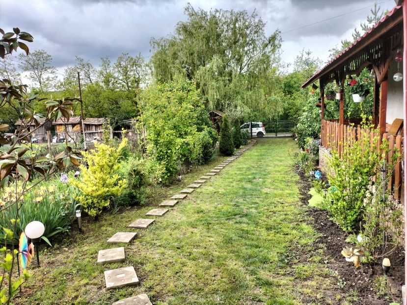 IMG20250517142731 - primavara 2025 la tara