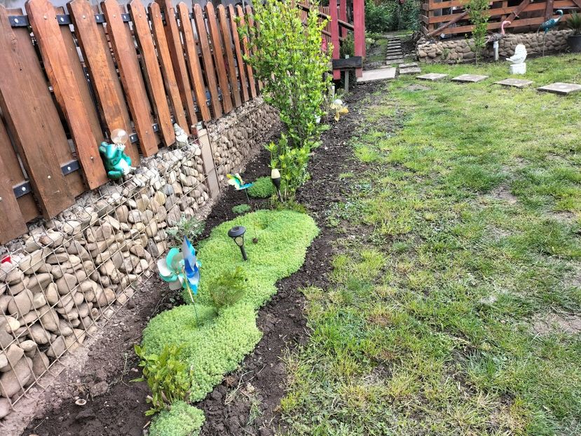 IMG20250517142526 - primavara 2025 la tara