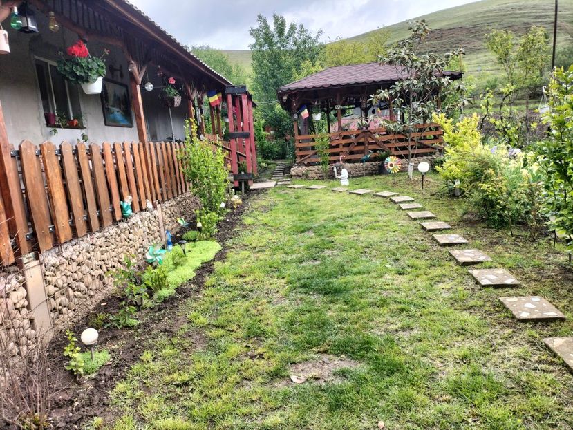 IMG20250517142515 - primavara 2025 la tara