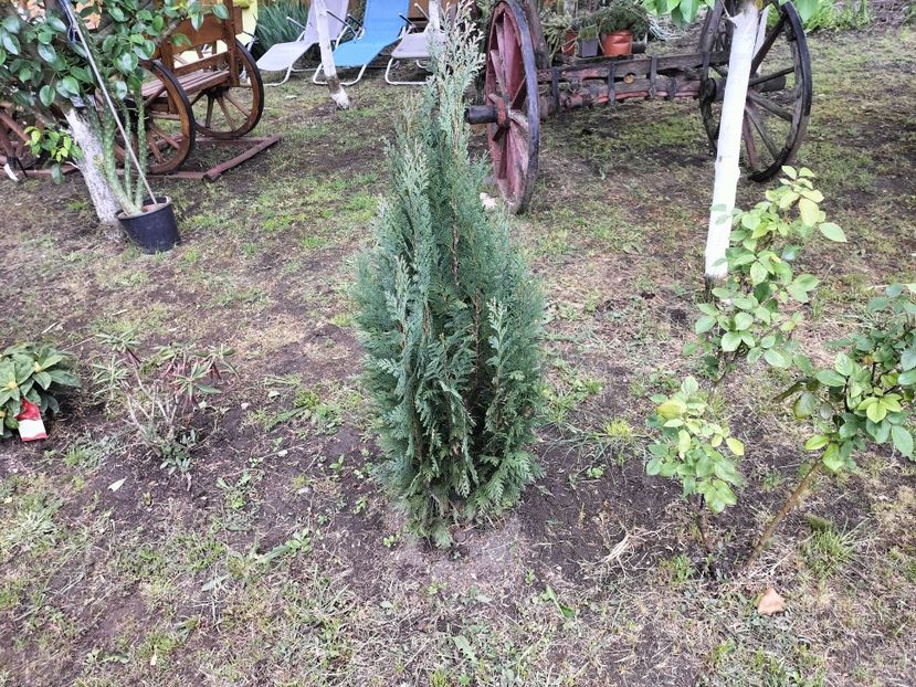 IMG20250517142443 - primavara 2025 la tara