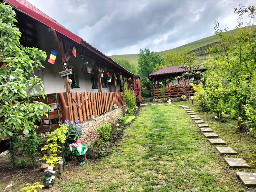 IMG20250517142344 - primavara 2025 la tara