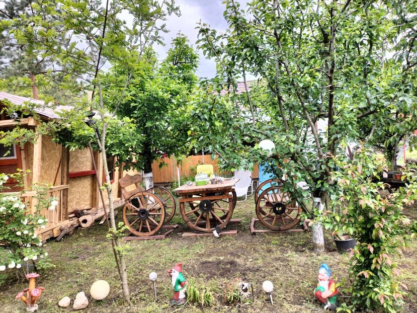 IMG20250517142334 - primavara 2025 la tara