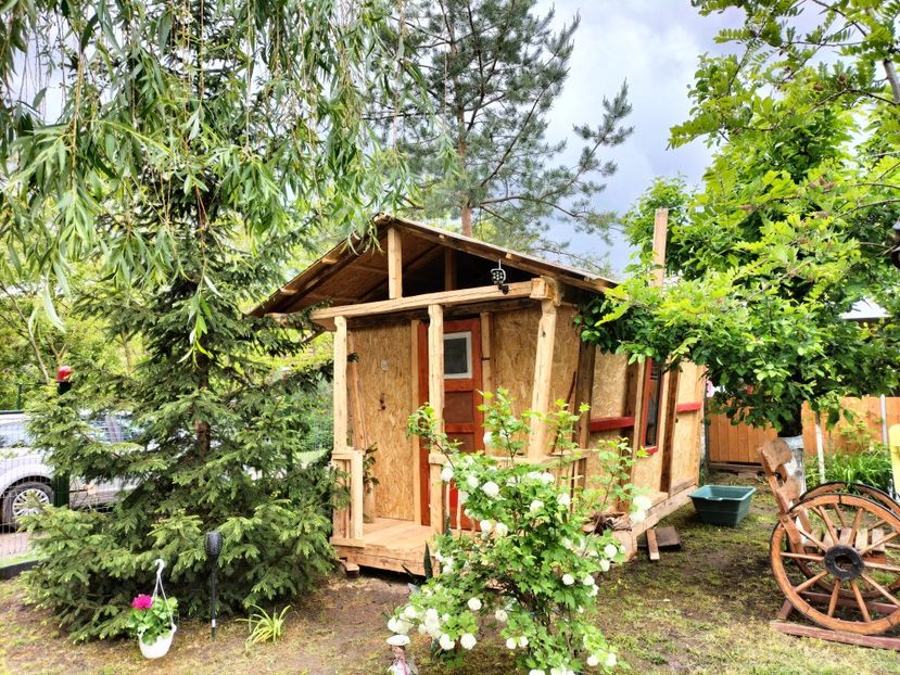 IMG20250517142325 - primavara 2025 la tara