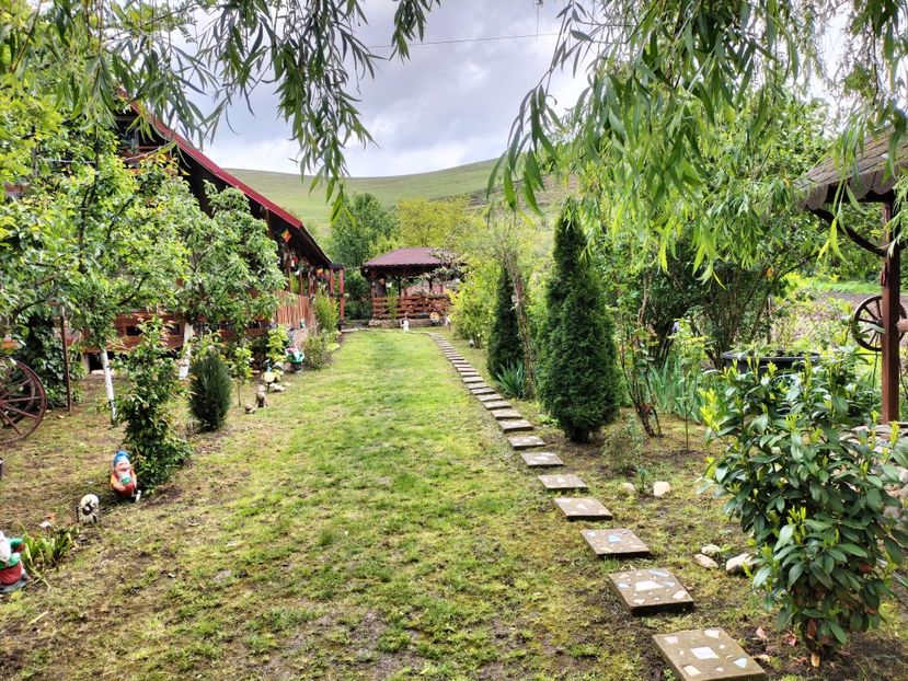 IMG20250517142312 - primavara 2025 la tara