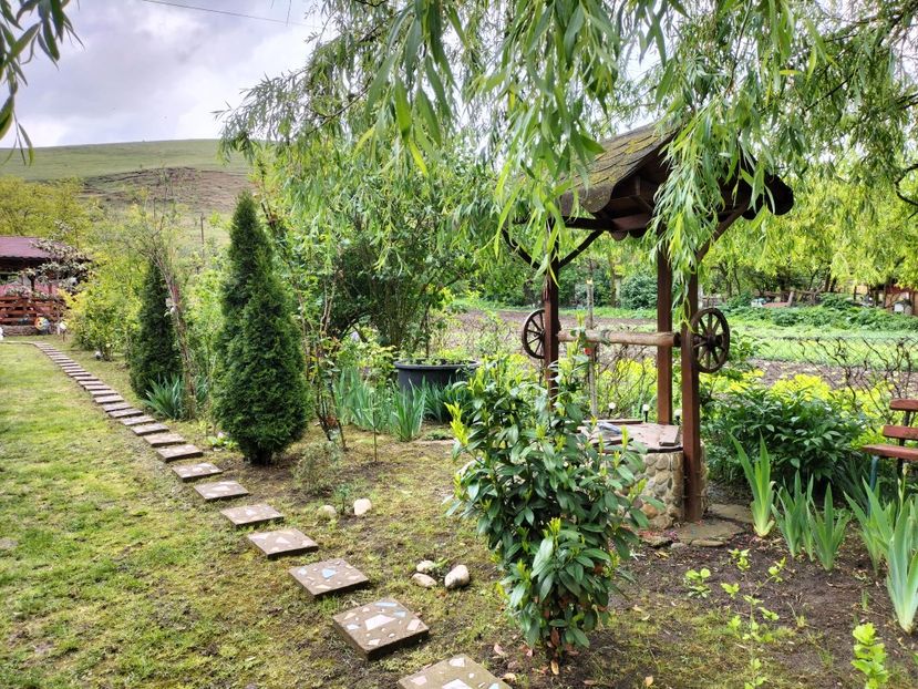 IMG20250517142305 - primavara 2025 la tara