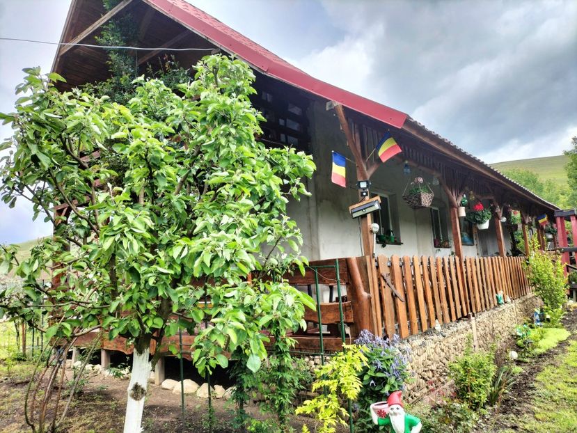 IMG20250517142237 - primavara 2025 la tara