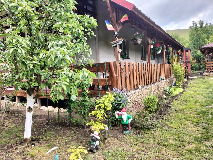 IMG20250517142233 - primavara 2025 la tara