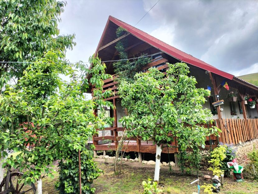 IMG20250517142204 - primavara 2025 la tara