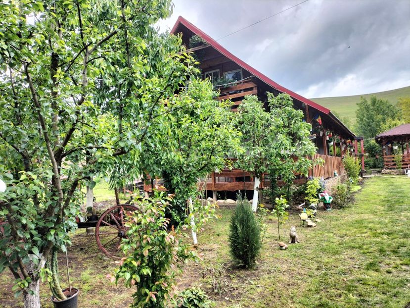 IMG20250517142148 - primavara 2025 la tara