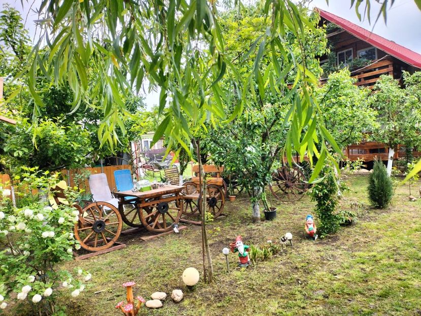 IMG20250517142141 - primavara 2025 la tara