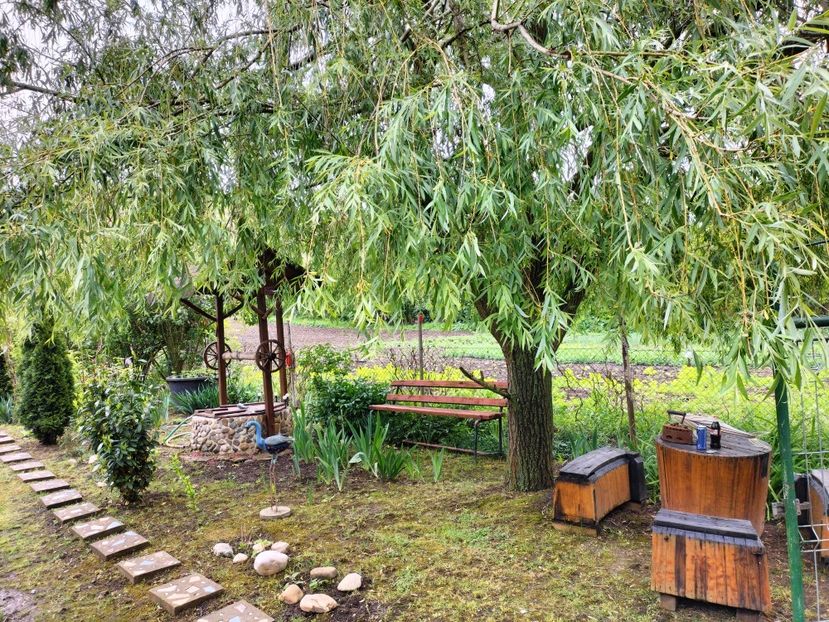 IMG20250517142059 - primavara 2025 la tara