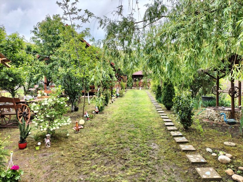 IMG20250517142024 - primavara 2025 la tara