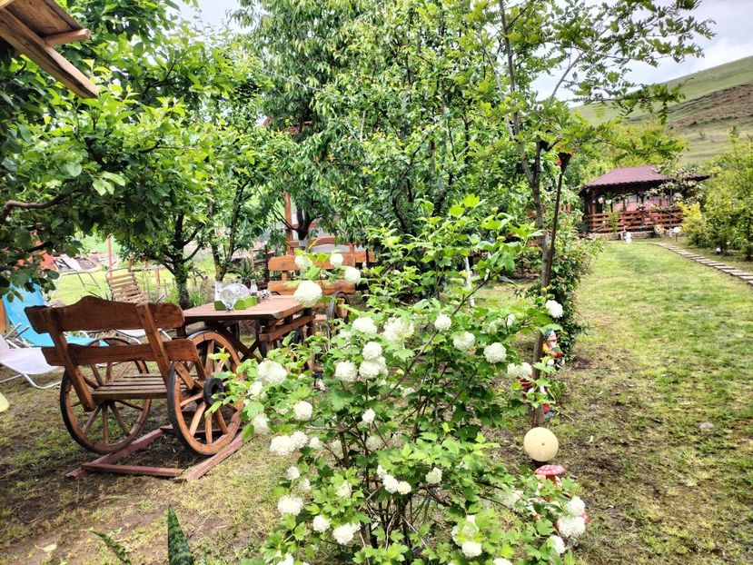 IMG20250517141959 - primavara 2025 la tara