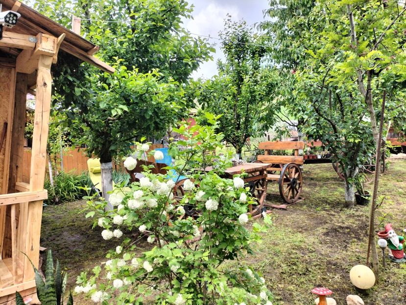 IMG20250517141950 - primavara 2025 la tara