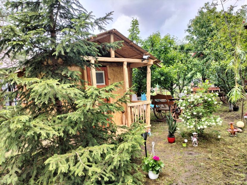 IMG20250517141914 - primavara 2025 la tara