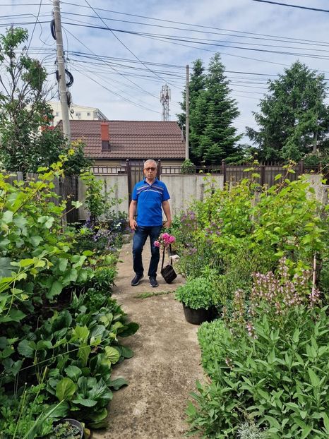  - Flori de gradină-2025