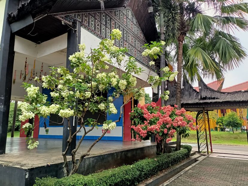 IMG20250519114145 - 1 Jakarta