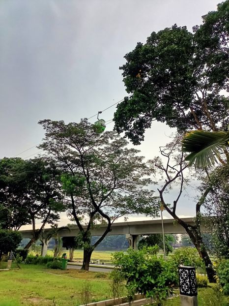 IMG20250519120350 - 1 Jakarta